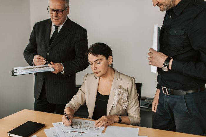 Business professionals reviewing financial documents